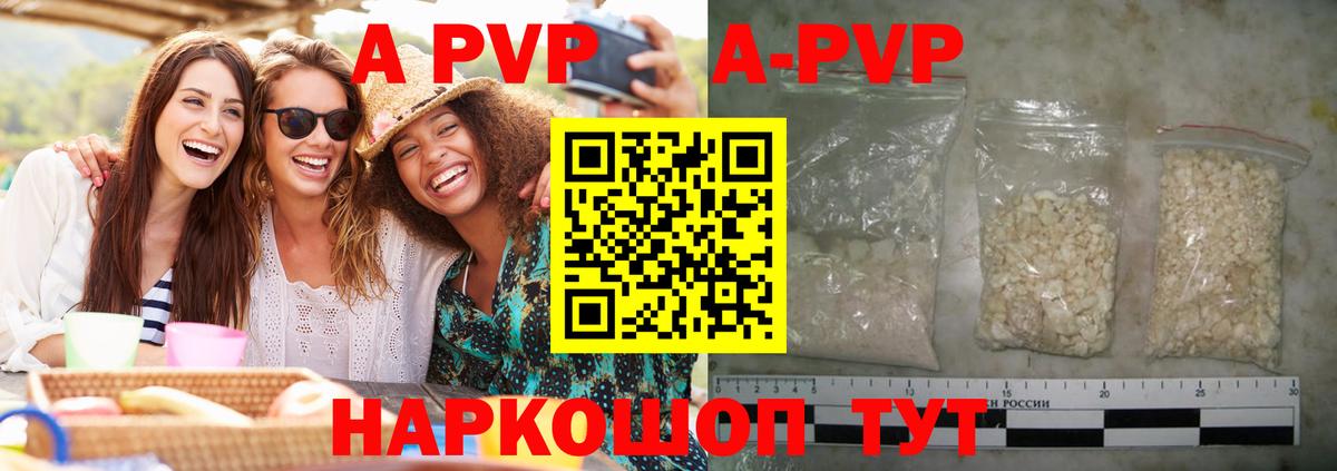 A PVP СК КРИС Шебекино