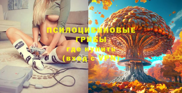 эйфоретик Абаза