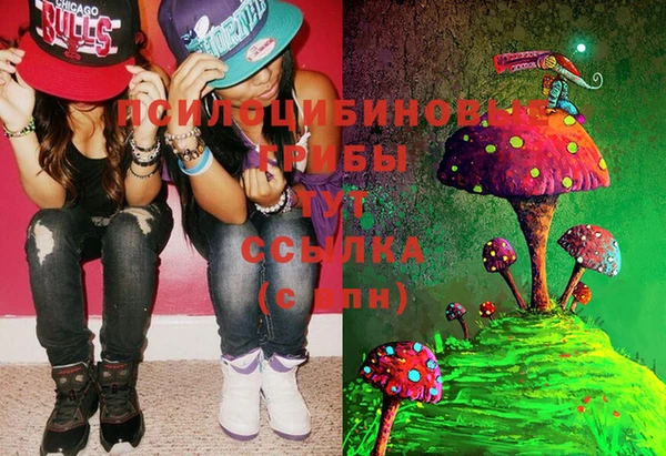 эйфоретик Абаза