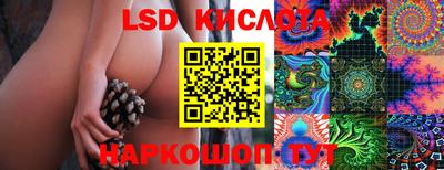 гидра Краснокаменск