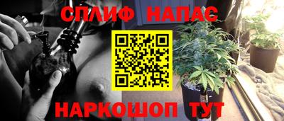 мдпв Краснодар