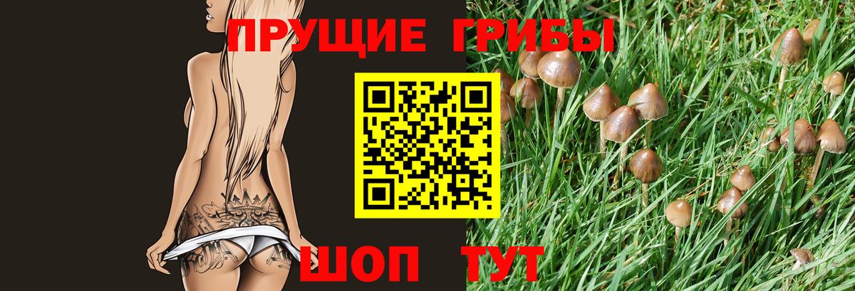 Шебекино  Галлюциногенные грибы ЛСД  Вход с VPN 